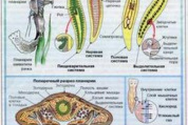 Кракен не работает