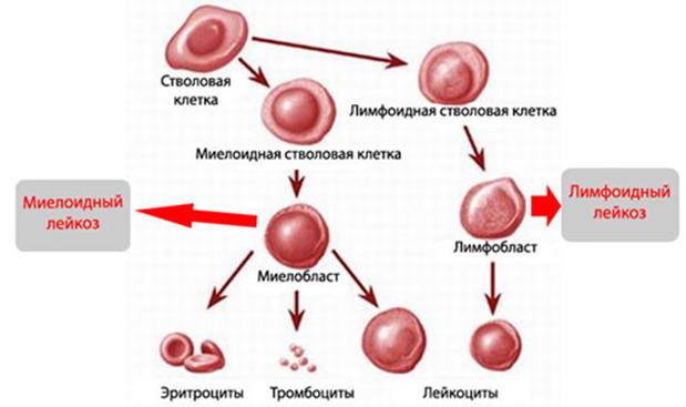 Кракен онион тор